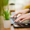 hands typing on laptop with green plant nearby