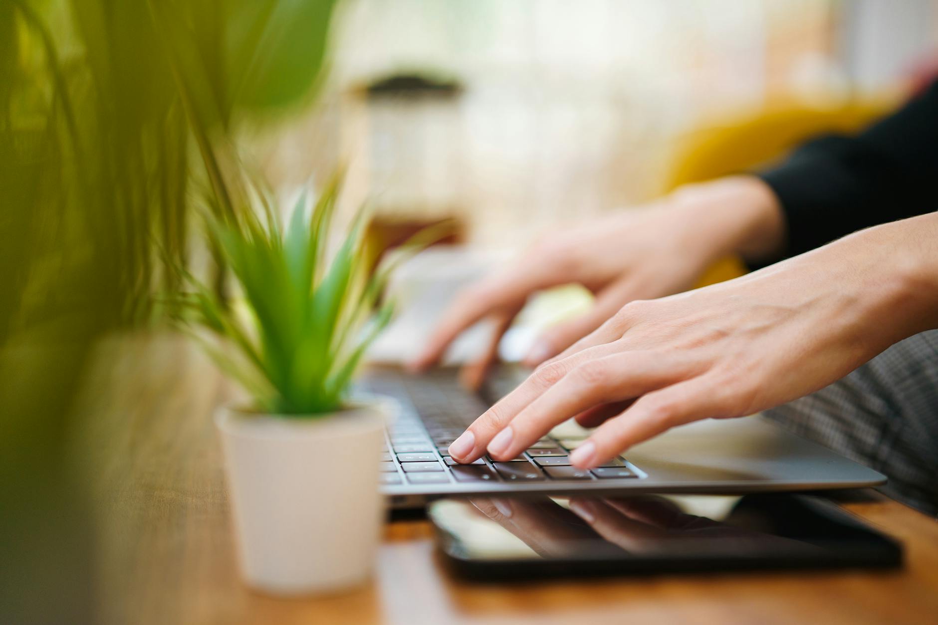 hands typing on laptop with green plant nearby