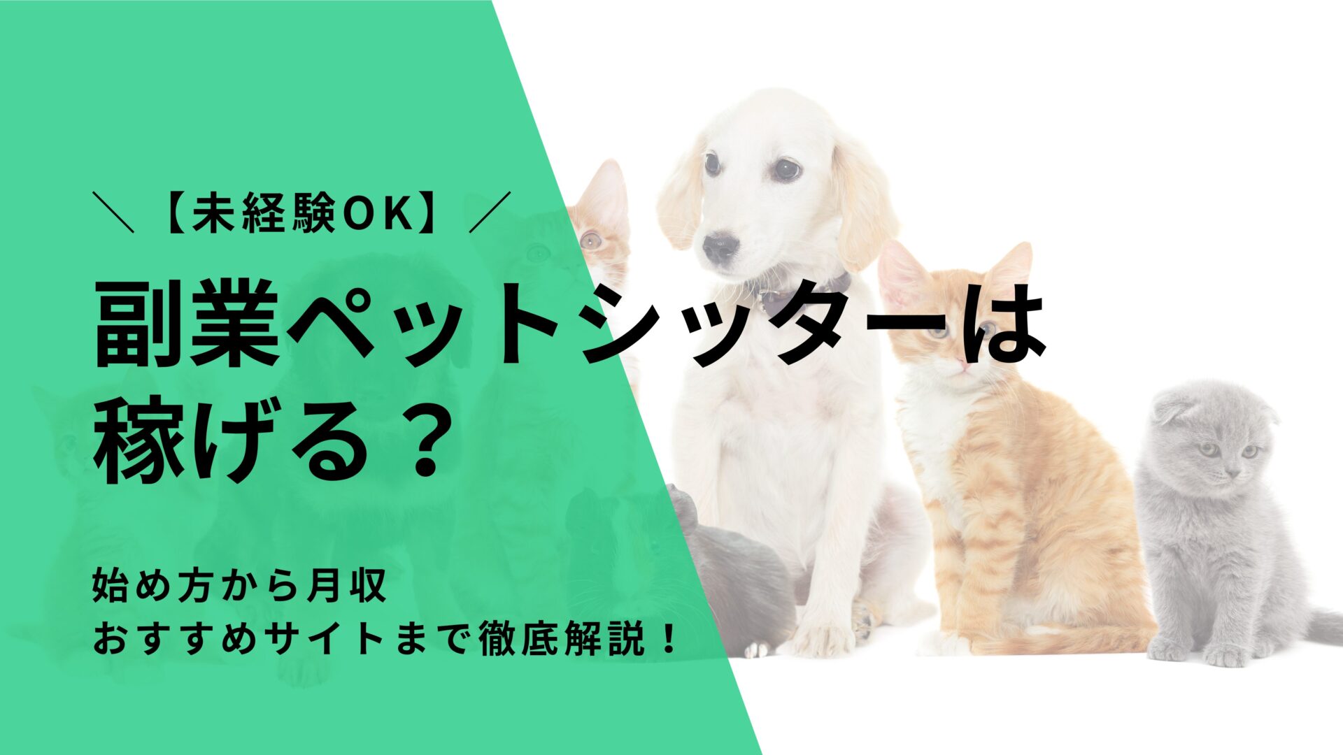 副業ペットシッターは稼げる？【未経験OK】始め方から月収、おすすめサイトまで徹底解説！