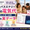 オクトパスエナジー冬の電気代｜長野の子育て世帯1年の実データ