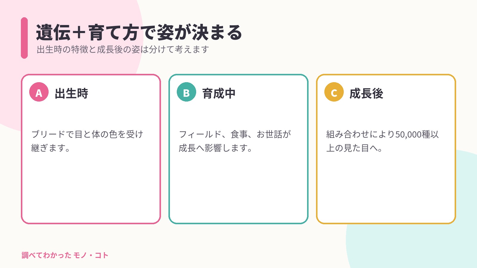 たまごっちパラダイスで遺伝と育て方が成長後の姿につながる図